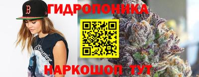 гашик Волжский