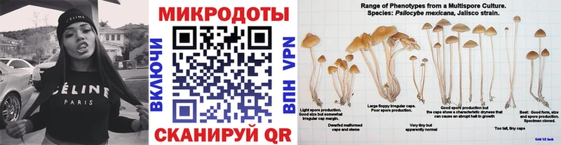 где купить наркотик  Прокопьевск  Галлюциногенные грибы мухоморы 